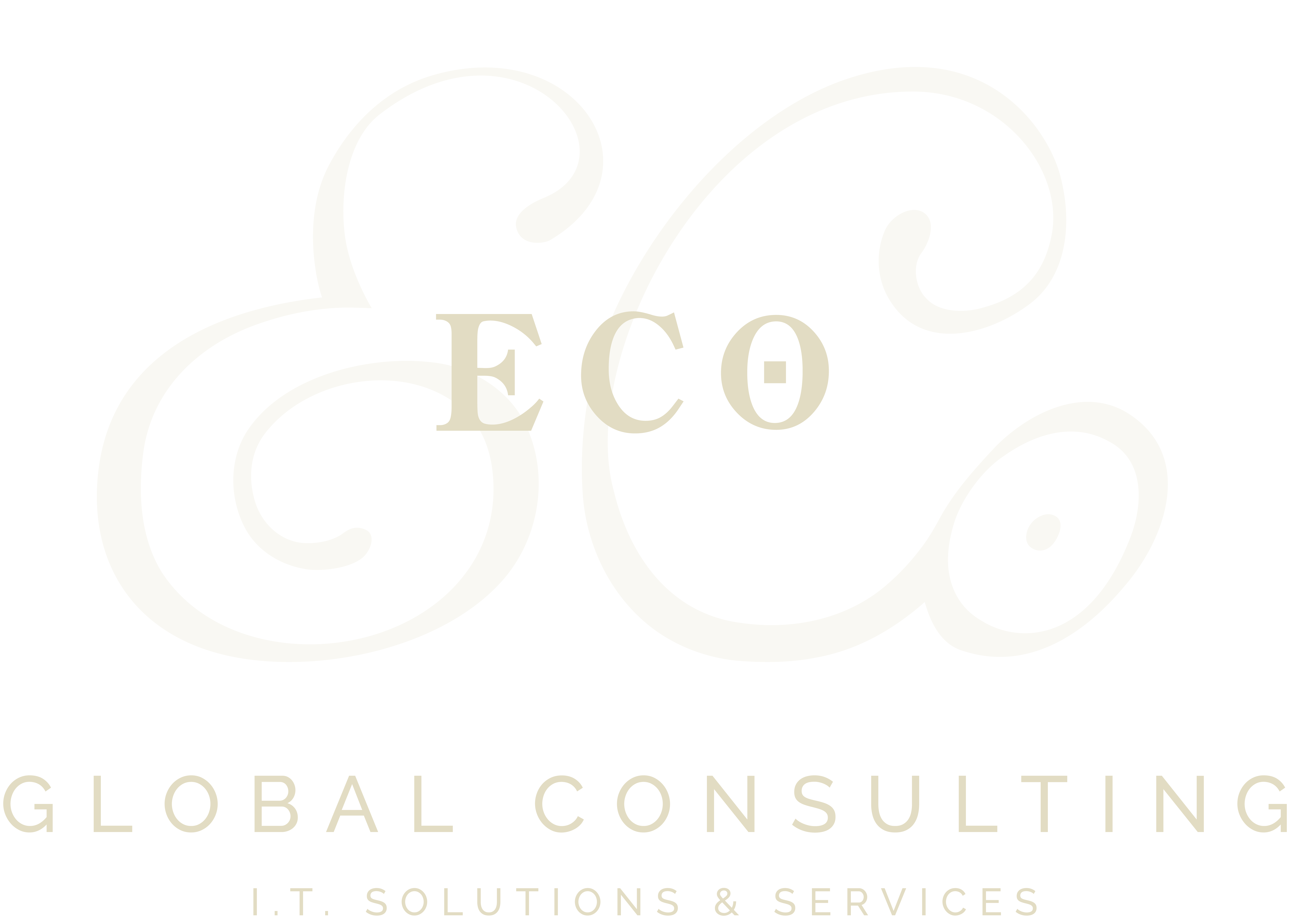 ECo Global Consulting